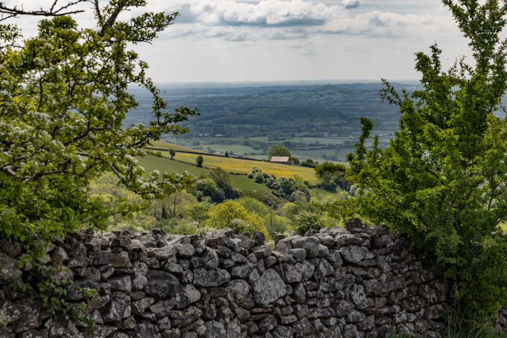 Walks in Somerset