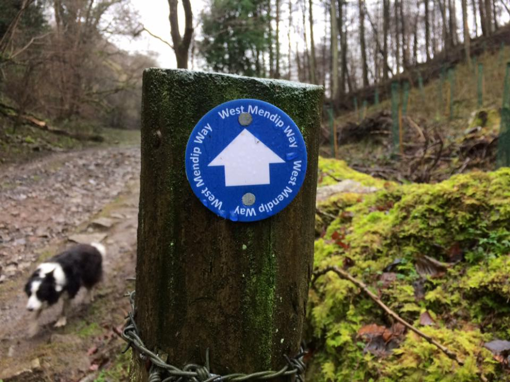 Walks in Somerset - Mendip